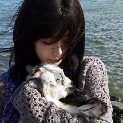 郊狼
